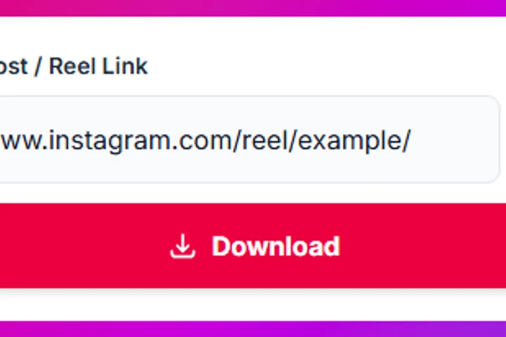 Savely Instagram downloader Download button after pasting a URL